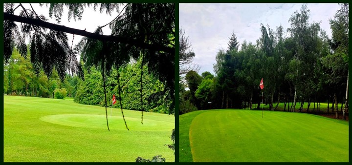 Manicured greens and tree-lined fairways at Julianstown Golf Club