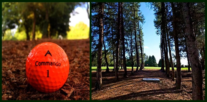 Tree-lined fairway walk at Julianstown Golf Club